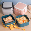 Double-layer portable lunch box with lid bento box