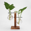 Glass and Wood Vase Planter Terrarium Table Desktop Hydroponics Plant