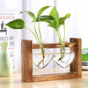 Glass and Wood Vase Planter Terrarium Table Desktop Hydroponics Plant