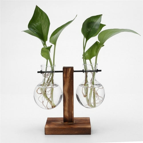 Glass and Wood Vase Planter Terrarium Table Desktop Hydroponics Plant ...