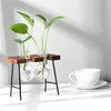 Glass and Wood Vase Planter Terrarium Table Desktop Hydroponics Plant